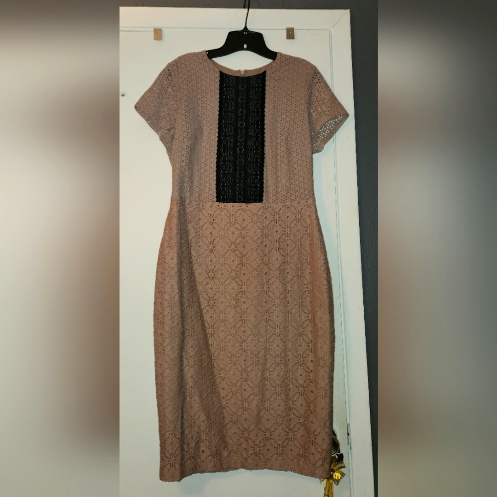 Ladies Tan & Black Eyelet Lace Dress